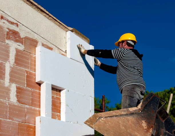 Best Eco-Friendly Insulation in Fenton, MI