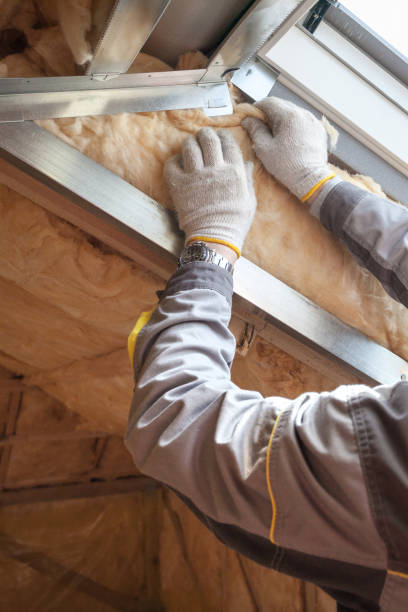 Best Insulation Maintenance and Repair in Fenton, MI
